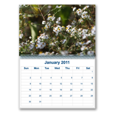 Custom Calendar - Custom Image Upload 13 Month - 11.75" x 8.75"